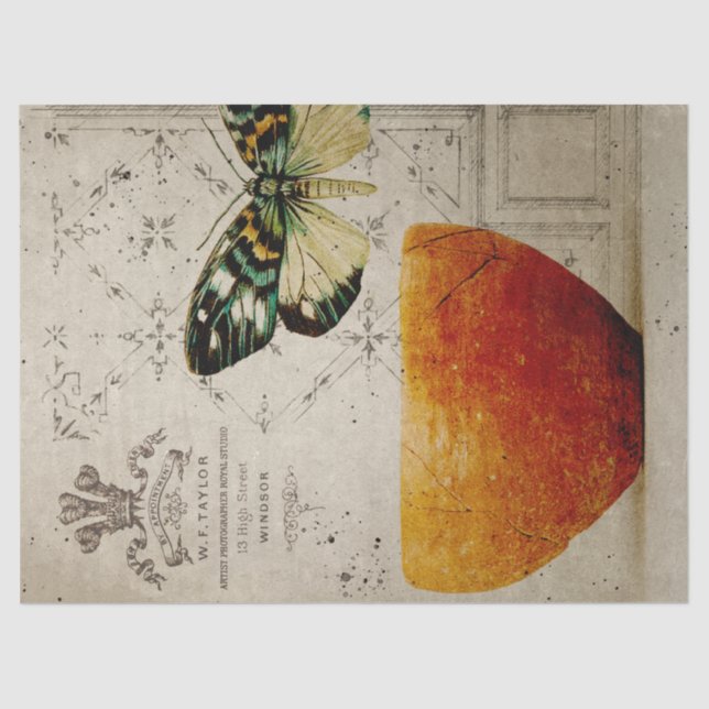 Papel De Seda Vintage Butterfly e Bowl Decoupage (Frente )