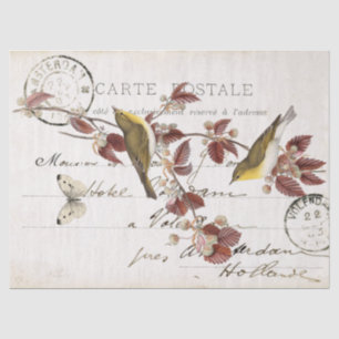 Papel De Seda Vintage Carte Postale Bird Butterfly Folha
