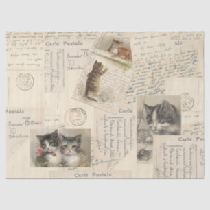 Papel De Seda Vintage Cat Postcard French Tissue Paper (Grande)