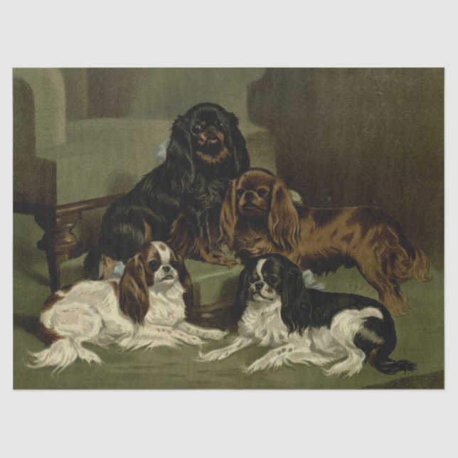 Papel De Seda Vintage Cocker Spaniels (Frente )