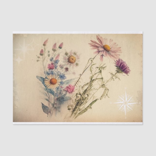 Papel De Seda Vintage Compass WIldflower Decoupage (Frente )