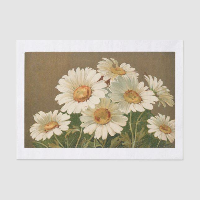 Papel De Seda Vintage Daisy Tissue Paper (Frente )