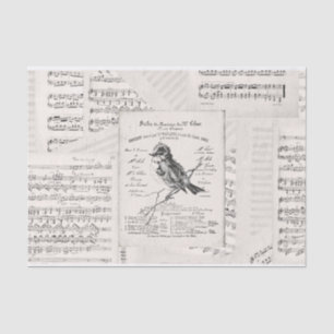 Papel De Seda Vintage de música francesa concertada para aves