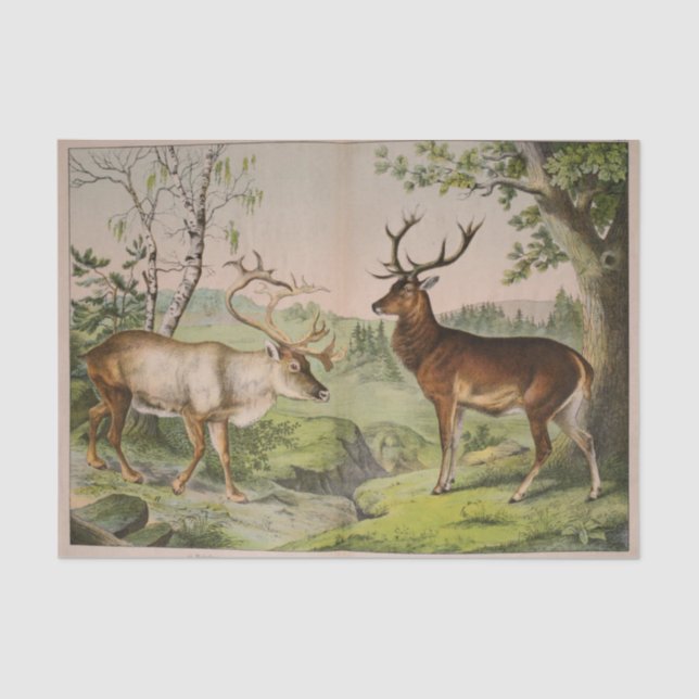 Papel De Seda Vintage Deer Stag Ephemera Decoupage (Frente )