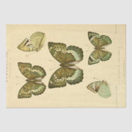 Papel De Seda Vintage Ephemera Script Green Butterfly Decoupage