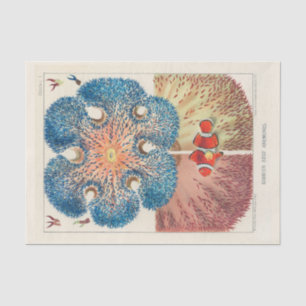 Papel De Seda Vintage Excelente Barrier Reef Anemones Carol Fish