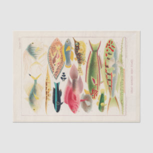 Papel De Seda Vintage Excelente Barrier Reef of Australia Fishes