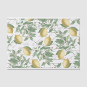 Papel De Seda Vintage Faded Lemon Branch French Script Fruta