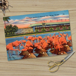 Papel De Seda Vintage Flamingo Nest Setting in Miami FL