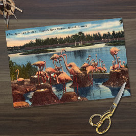 Papel De Seda Vintage Flamingos em Ninhos em Miami na Flórida