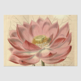 Papel De Seda Vintage French Floral Ephemera Decoupage Pink Tiss