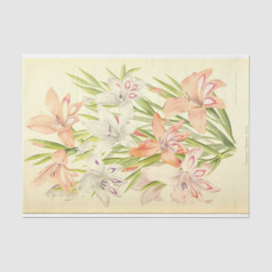 Papel De Seda Vintage French Floral Ephemera Decoupage Pink Tiss
