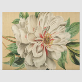 Papel De Seda Vintage French Floral Ephemera Decoupage White