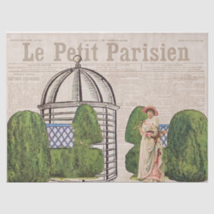 Papel De Seda Vintage French Garden Lady Collage Decoupage 