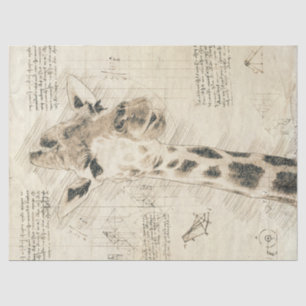 Papel De Seda Vintage Giraffe Drawing