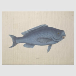 Papel De Seda Vintage Happy Blue Fish Ephemera Decoupage