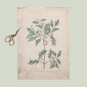 Papel De Seda Vintage Holly Christmas Decoupage Wrinkled Aged