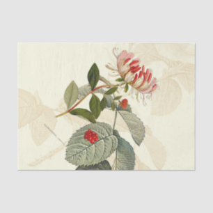 Papel De Seda Vintage Honeysuckle