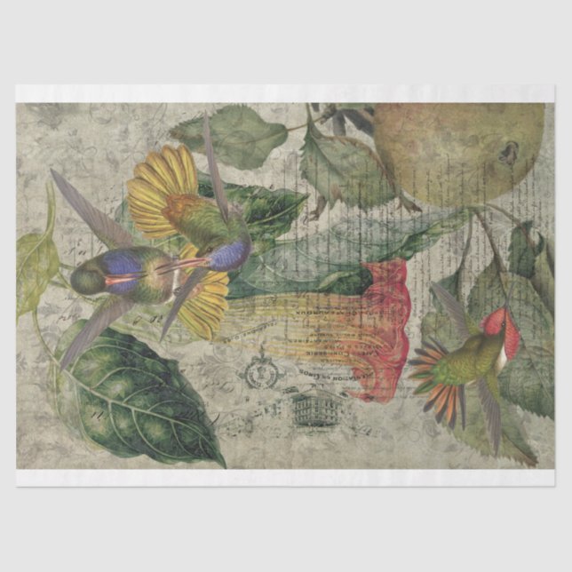 Papel De Seda Vintage Hummingbird Collage-Tissue Paper (Frente )