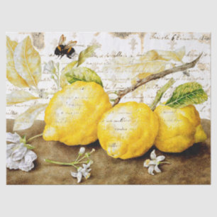 Papel De Seda Vintage Lemon E Bee Ephemera