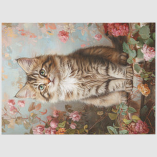 Papel De Seda Vintage Maine Coon Kitten Pintage Decoupage