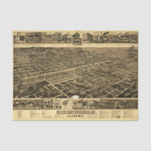 Papel De Seda Vintage Map of Birmingham, Alabama (1885)