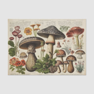 Papel De Seda Vintage Mushroom Cottagecore Decoupage