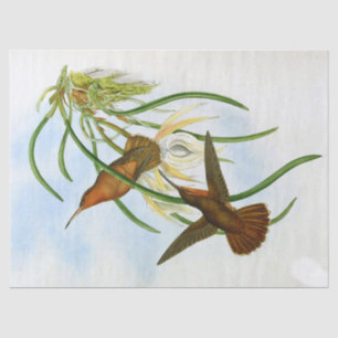 Papel De Seda Vintage Orange Cinza Viu Bill Hummingbird Decoupag