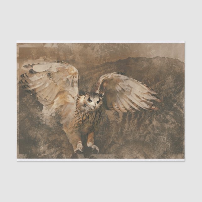 Papel De Seda Vintage Owl Bird (Frente )