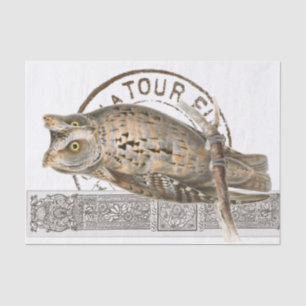 Papel De Seda Vintage Owl Bird Brown Decoupage Francês