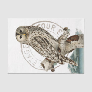 Papel De Seda Vintage Owl Bird Decoupage Francês