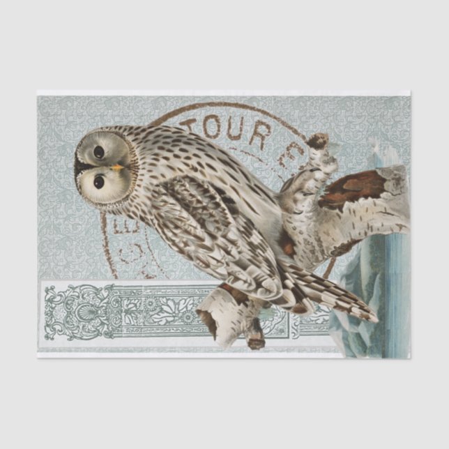 Papel De Seda Vintage Owl Bird Teal Decoupage (Frente )