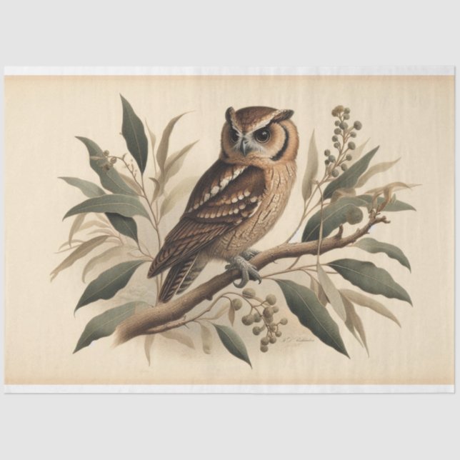 Papel De Seda Vintage Owl Flora Decoupage (Frente )