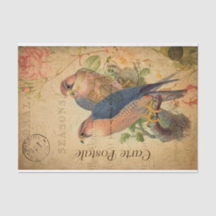 Papel De Seda Vintage Pair of Peregrine Falcons Birds Francês