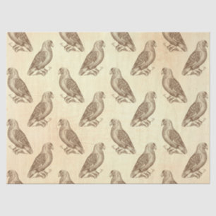 Papel De Seda Vintage Parrots na Desmontagem de Cream