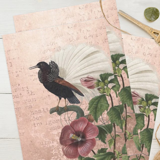 Papel De Seda Vintage Pássaro Tropical Floral (Criador carregado)