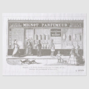 Papel De Seda Vintage Perfume Poster de Anúncio Francês