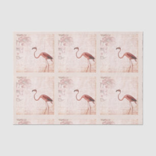 Papel De Seda Vintage Pink Flamingo