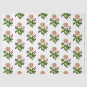 Papel De Seda Vintage Pink Tea Roses Flowers