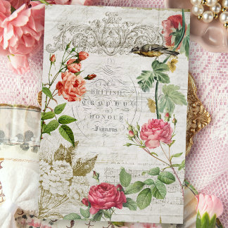 Papel De Seda Vintage Rosa Rosa Rosa Rosa e Tipografia - Nuvem E