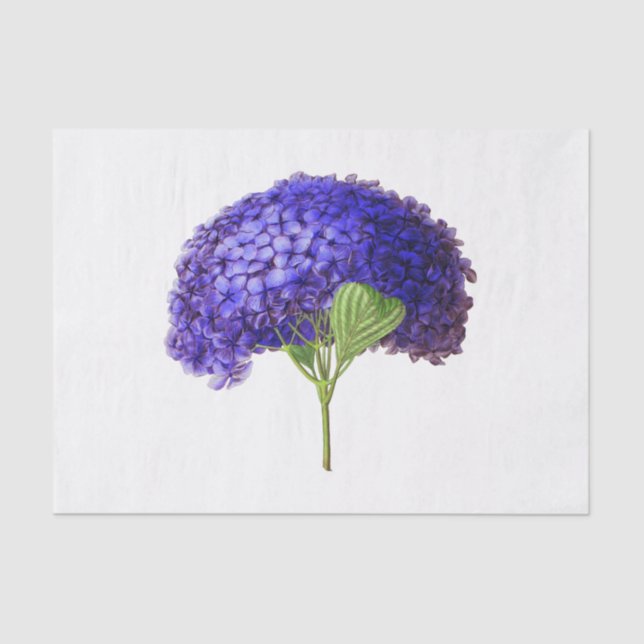 Papel De Seda Vintage Roxo Hydrangea Floral (Frente )