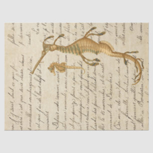 Papel De Seda Vintage Seacavalo e Sequência de Script