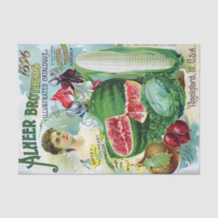Papel De Seda Vintage Seed Catalog Alneer Brothers 1896