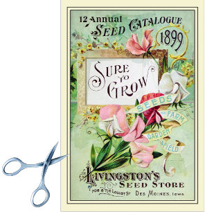 Papel De Seda Vintage Seed Catalog Livingston's Seed Store 1899