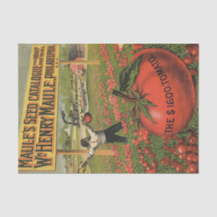 Papel De Seda Vintage Seed Catalog Maule's 1887 $1600 Tomatoe