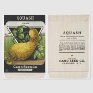 Papel De Seda Vintage Seed Packet Summer Squash e Instruções
