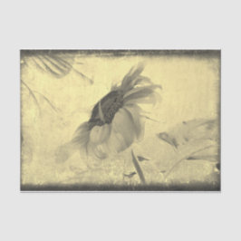 Papel De Seda Vintage Sepia Tone Sunflower Grunge Textura