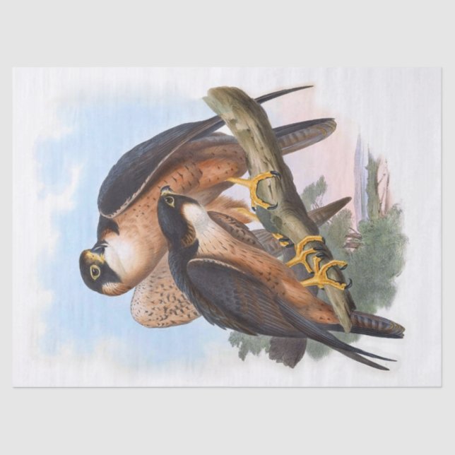 Papel De Seda Vintage Shaheen Falcon Disoupage (Frente )