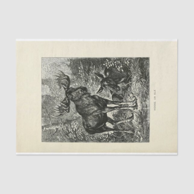 Papel De Seda Vintage Stag Moose Ephemera Decoupage (Frente )