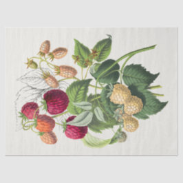 Papel De Seda Vintage Strawberry